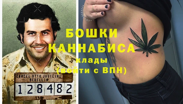 mdpv Белокуриха