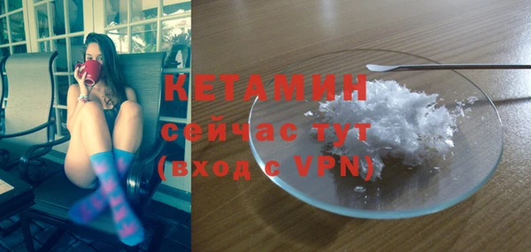 прущие грибы Балахна