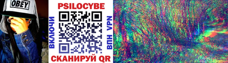 Галлюциногенные грибы Psilocybe  как найти   Краснотурьинск 