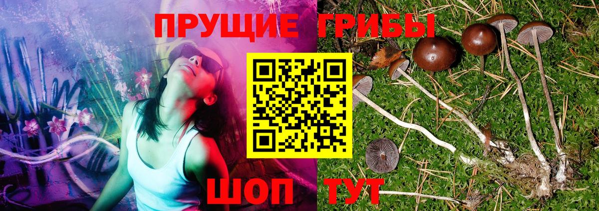 Псилоцибиновые грибы Magic Shrooms  Вход с VPN  где купить наркотик  Краснотурьинск 