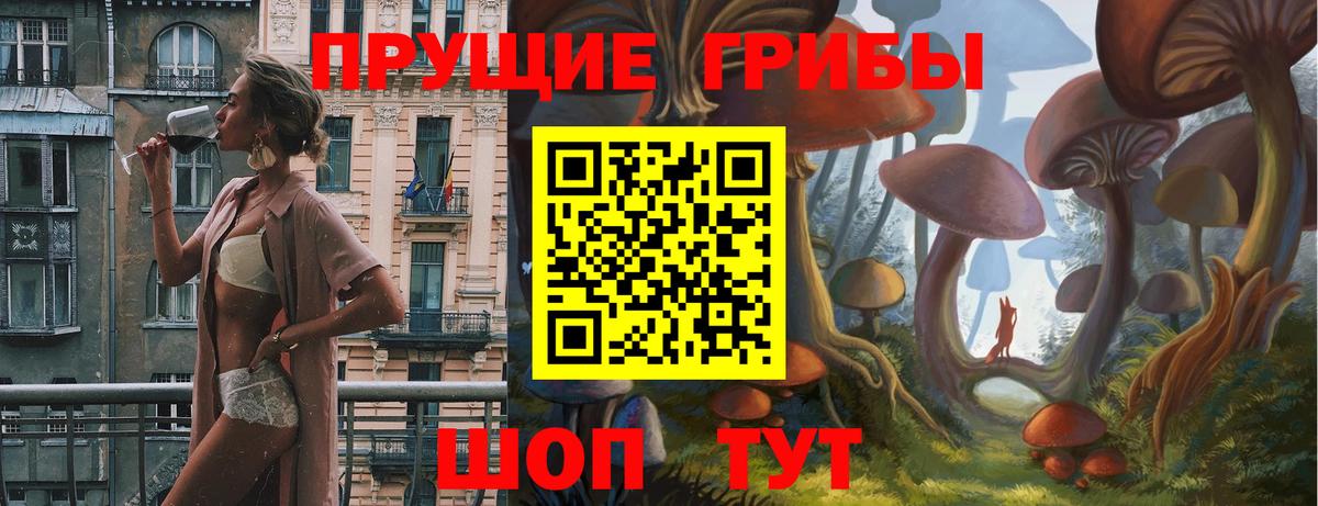 Галлюциногенные грибы Psilocybe  Краснотурьинск 